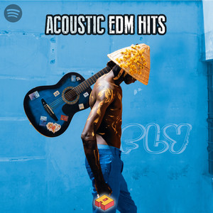 Acoustic EDM Hits | Electronic Dance Music Meets Guitars and Pianos 🎹 playlist cover
