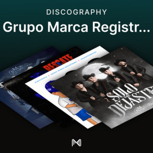 spotify image
