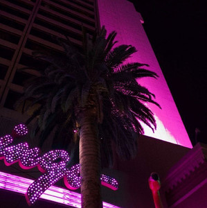nights in miami  playlist cover