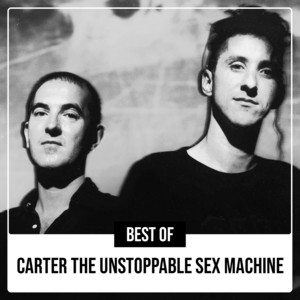 Carter The Unstoppable Sex Machine | Spotify