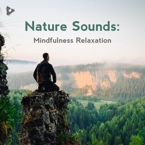 Nature Sounds: Mindfulness Relaxation