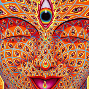 Trip n' Chill (Acid, Mushrooms) cover