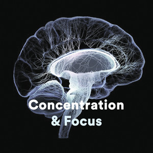 Concentration Music - Studying Music Alpha Waves - Creativity Boosting Studying Music -  Brain Focus playlist cover