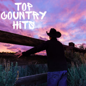 Top 30 Country Hits cover