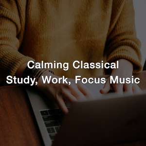 calming classical | study, work, relax, focus playlist playlist cover