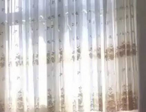 ab67706c0000da84137975a8d0be9f29e6bc0bc4
