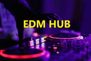EDM Hub Spotify playlist cover art