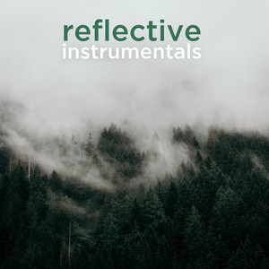 reflective instrumentals playlist cover