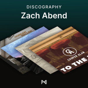 spotify image