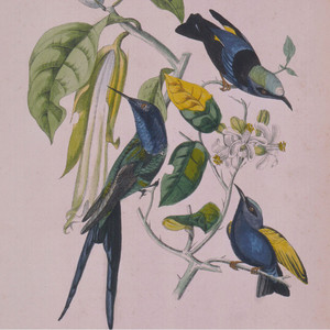 Susumu Yokota's Songs of Joy, Anger, Sorrow, and Happiness | In