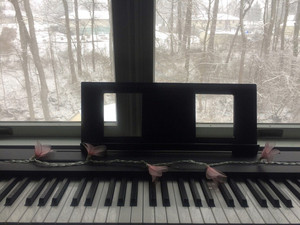 piano/instrumental cover