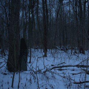 Walk Through The Woods