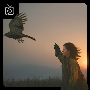H Is For Hawk Soundtrack
