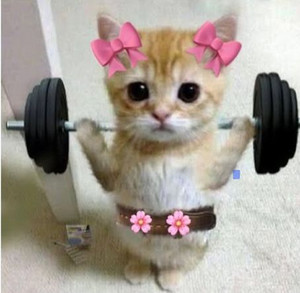 mogging the gymbros 🎀💉 Spotify playlist cover art
