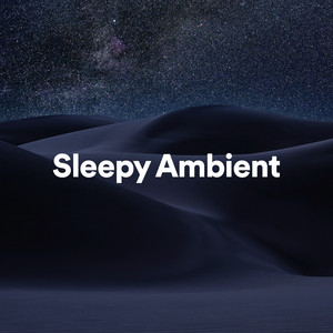 Sleepy Ambient cover