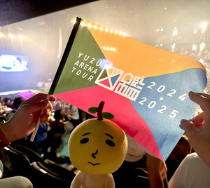ゆず🍊YUZU ARENA TOUR 2024-2025 図鑑🌹セトリ - playlist by ✿ ami