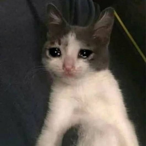 Rolitas para llorar a las 3 AM