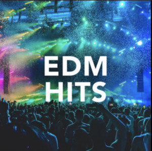 EDM Hits 2025 playlist cover