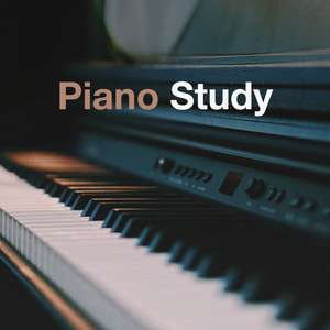 Piano Study Beats | lofi vibes | study lofi beats | relaxing study vibes | easy piano music | chill playlist cover