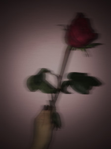 sorry i'm an anti-romantic playlist cover