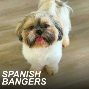 SPANISH BANGERS 2024 🔥 playlist cover