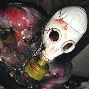 HARSH GORENOISE