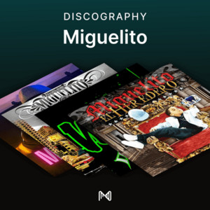 spotify image