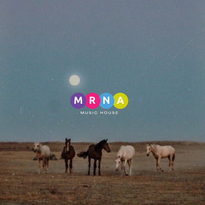 Country Mix cover