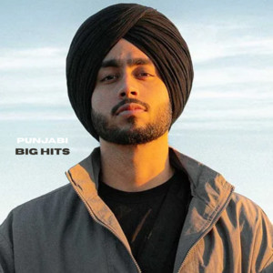 Punjabi Big Hitsssss — cover art
