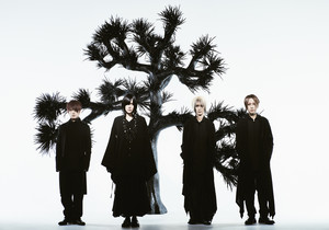 ミュージシャン Plastic Tree Photo Plastic Tree ミュージシャン Photo