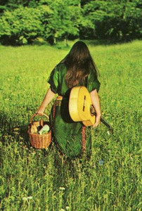 Folk & Feathers cover