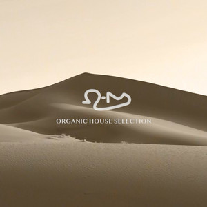 Ohm Afro & Organic House Selection Spotify playlist cover art