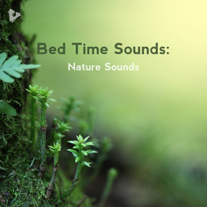 Bed Time Sounds: Nature Sounds