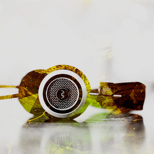 Listen – AVARecordings.com