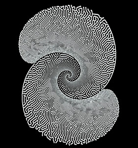Electronica & Organic House, Downtempo playlist cover
