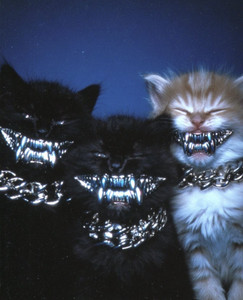 Cover art for hits hits