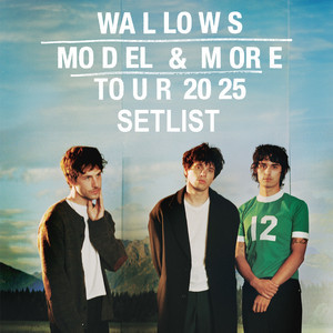 Wallows - Model & More Tour Official Setlist playlist cover