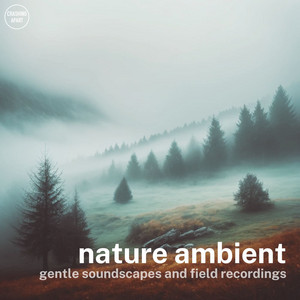 nature ambient - gentle soundscapes and field recordings Spotify playlist cover art