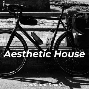 Aesthetic House Spotify playlist cover art
