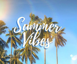 Summer 2026 the new 2016 🐬🌊☀️✨ playlist cover