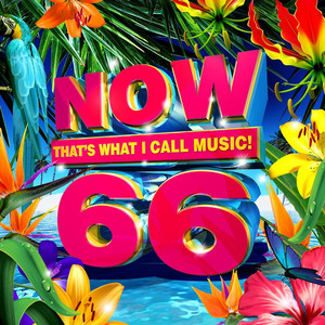 NOW That's What I Call Music! Vol. 66 - playlist by aniBOOM | Spotify
