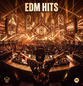 Best EDM Hits 2026🎉 |  TIMBR cover
