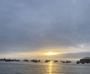 Playlist martin brr — cover art