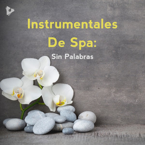 Instrumentales De Spa: Sin Palabras