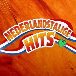 Nieuwe Nederlandstalige hits🇳🇱 Nieuwe Releases 🇳🇱Kroegenhits NL playlist cover