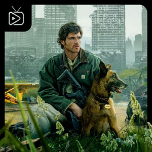 The Dog Stars Soundtrack