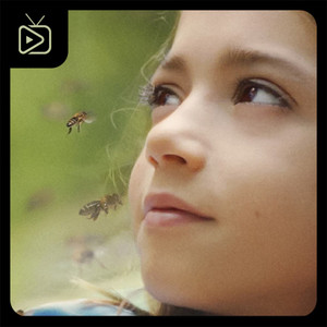 20000 Especies De Abejas Soundtrack