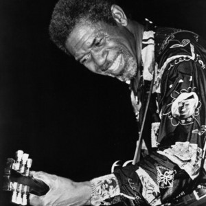 Imagem de Luther Allison
