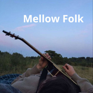 Mellow Folk Americana Playlist Submission