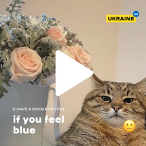 Обкладинка плейліста if you feel blue